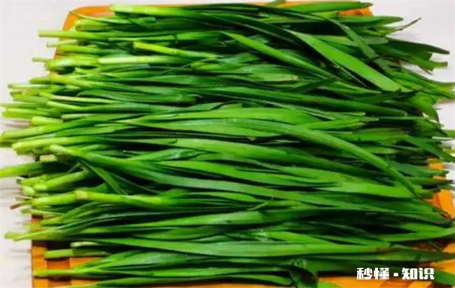 韭菜可以生吃吗