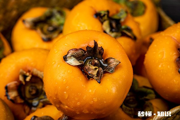 桃子和什么不能一起吃 桃子和什么相克