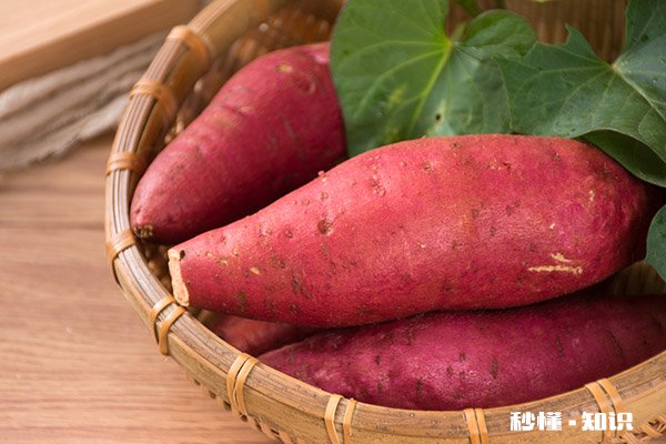 桃子和什么不能一起吃 桃子和什么相克