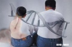 咋吃都不胖可能是基因突变吗