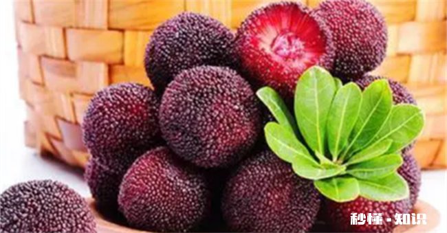 杨梅核吞进肚子会打灰尘吗