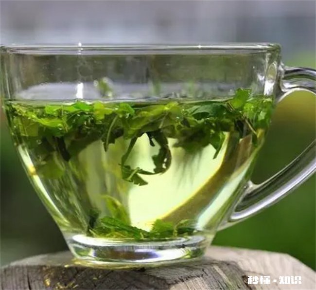 湿气重的人能喝桑叶茶吗