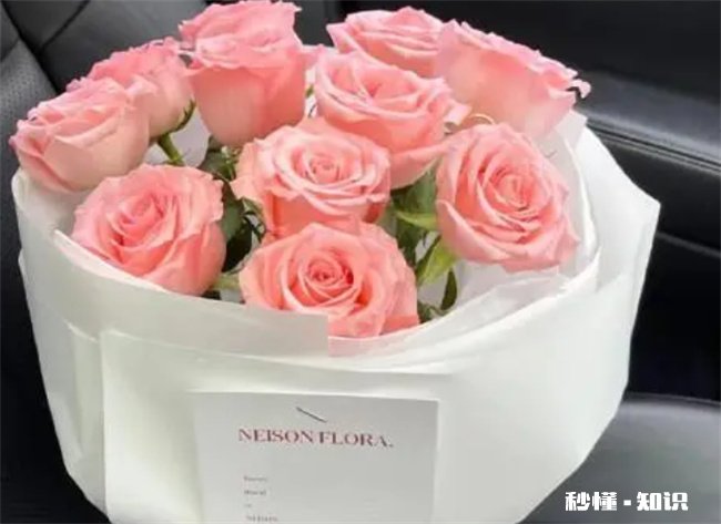 粉玫瑰适合送什么人