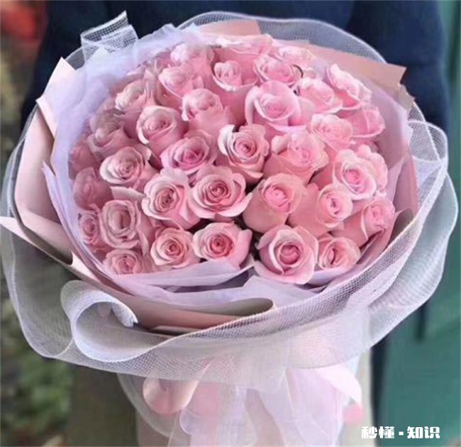 粉玫瑰适合送什么人