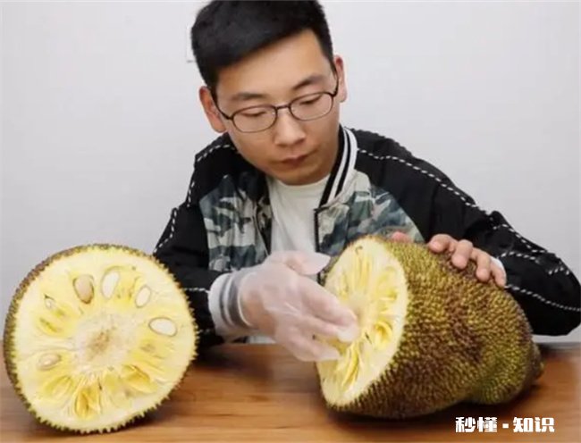 菠萝蜜的胶粘在手上怎么洗掉