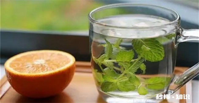 薄荷开花了还可以食用吗