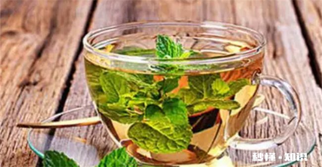 薄荷开花了还可以食用吗