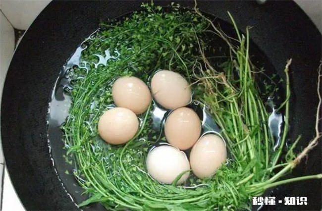 荠菜花煮鸡蛋治偏头痛是真的吗