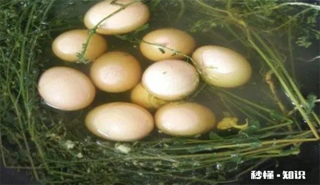 荠菜花煮鸡蛋治偏头痛是真的吗