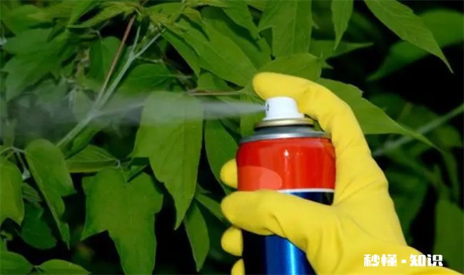 杀虫剂通风20分钟可以进去吗