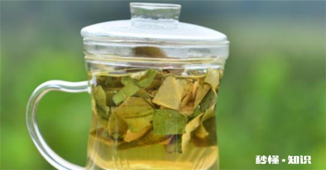 湿气重的人可以喝薄荷叶泡水吗