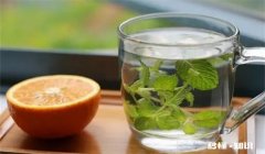 吃薄荷为什么会觉得凉