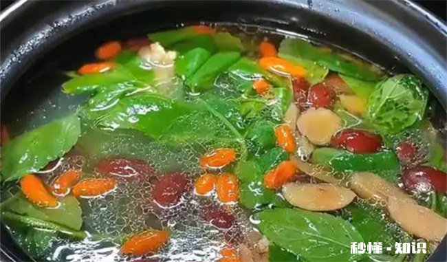 吃薄荷为什么会觉得凉