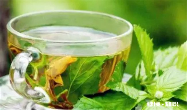 吃薄荷为什么会觉得凉