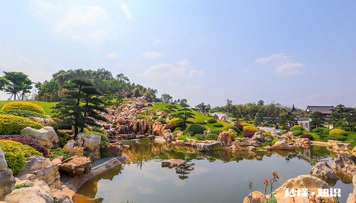 罗汉松施什么肥长得快 罗汉松怎么施肥长得快