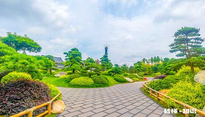 罗汉松施什么肥长得快 罗汉松怎么施肥长得快