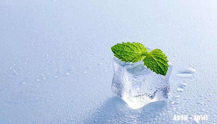 薄荷长太高了怎么修剪 薄荷长太高的修剪方法