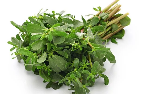 吃什么东西容易流产 其他造成流产的原因