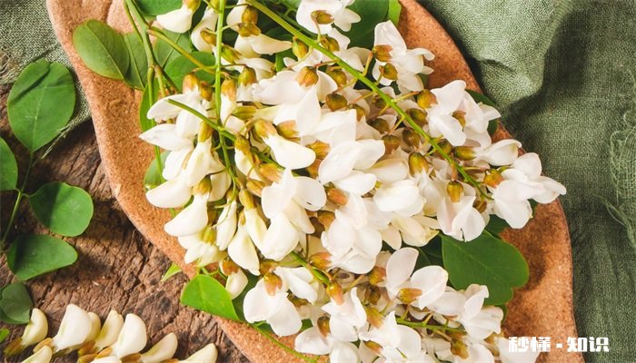 槐花什么时候开 槐花的开花时间