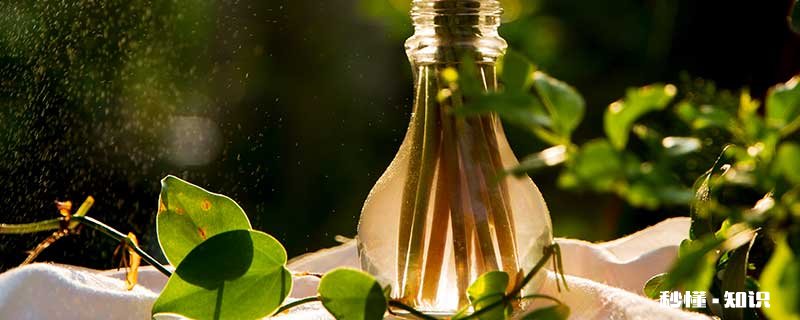 在水里养的花或植物有哪些 在水里养的花或植物