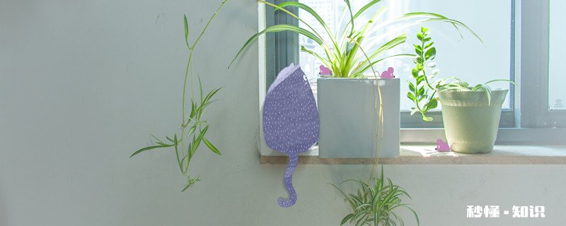 净化室内空气的植物 净化室内空气的植物有哪些