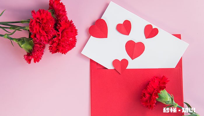 康乃馨花语和寓意 康乃馨花语和寓意分别是什么