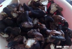 菱角煮出来为什么是脆的