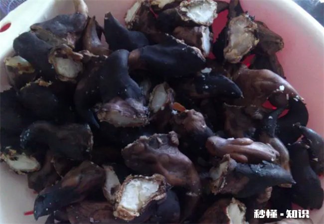 菱角煮出来为什么是脆的