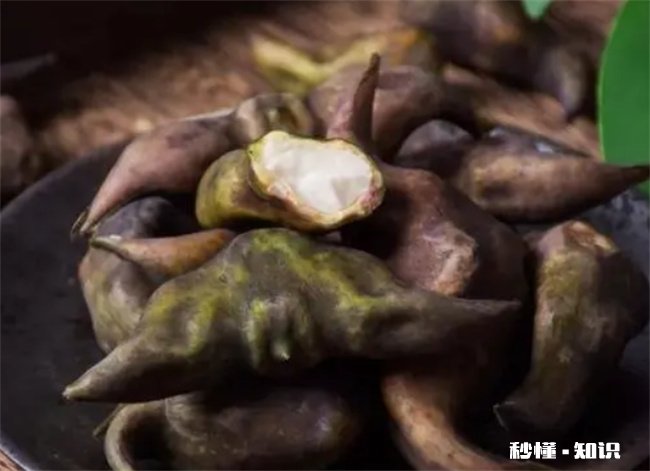 菱角煮出来为什么是脆的
