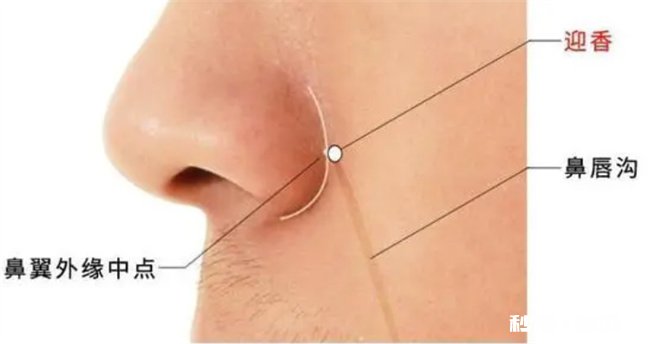 一招止住清鼻涕有什么方法