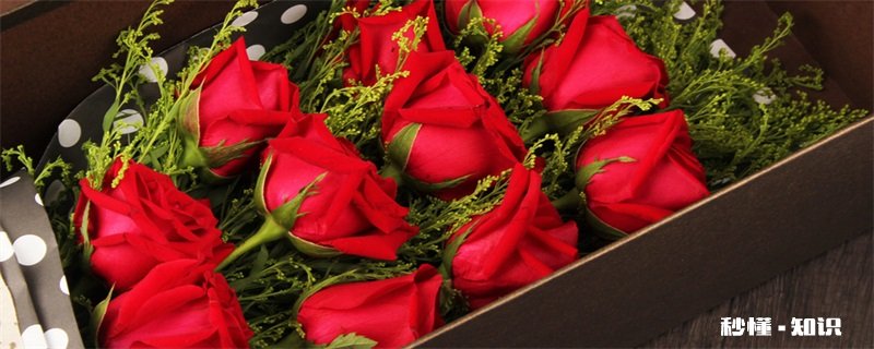 25朵玫瑰花语 25朵玫瑰表示的意思