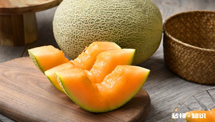哈密瓜名字来历 哈密瓜怎么挑