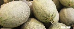 哈密瓜名字来历 哈密瓜怎么挑