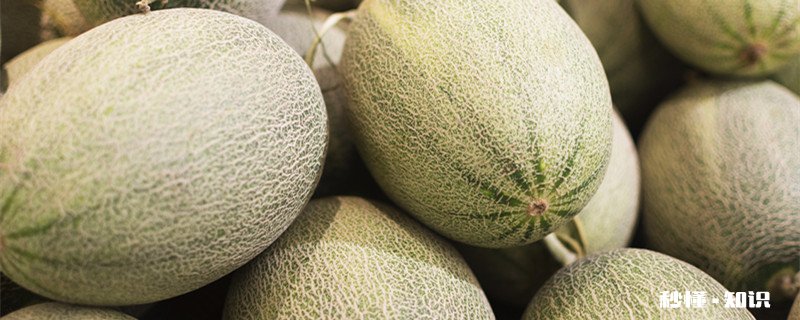 哈密瓜名字来历 哈密瓜怎么挑