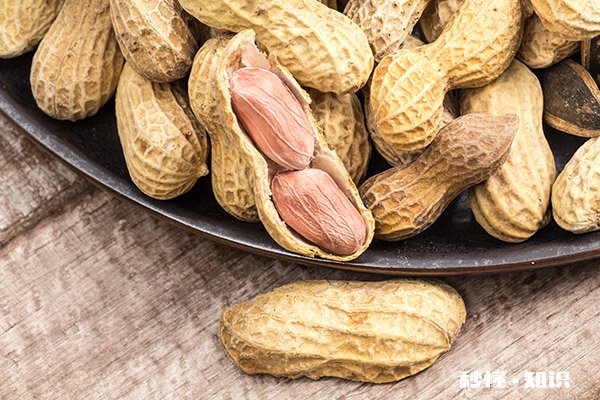 花生不能和什么一起吃 和花生相克的食物