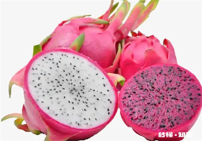 火龙果的日常食用禁忌