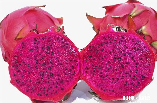 火龙果的日常食用禁忌