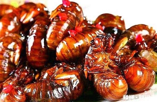 “知了猴”可不可以放心吃