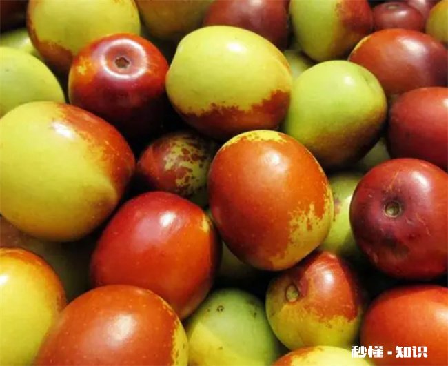 如何分辨糖精枣