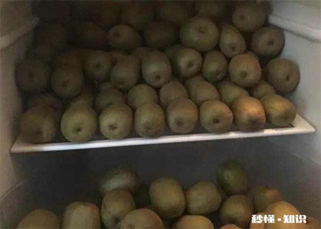 猕猴桃可以放在冰箱保鲜吗