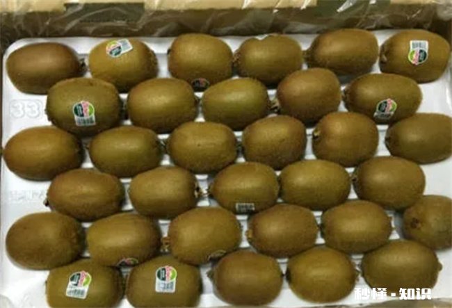 猕猴桃可以放在冰箱保鲜吗