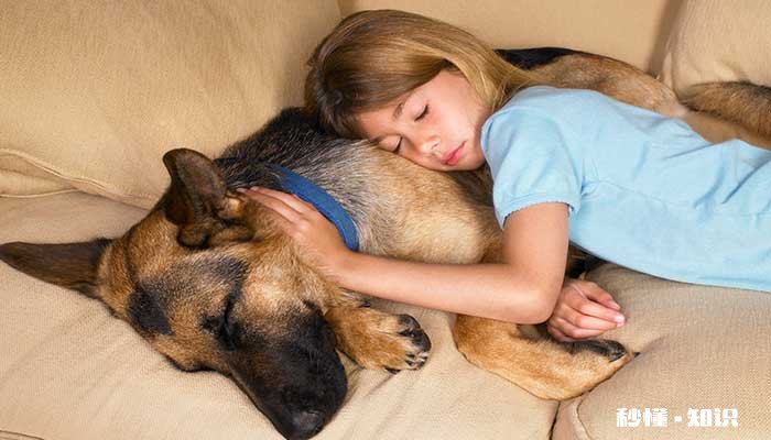 小狗睡觉翻白眼怎么回事 狗睡觉呼吸急促是为什么