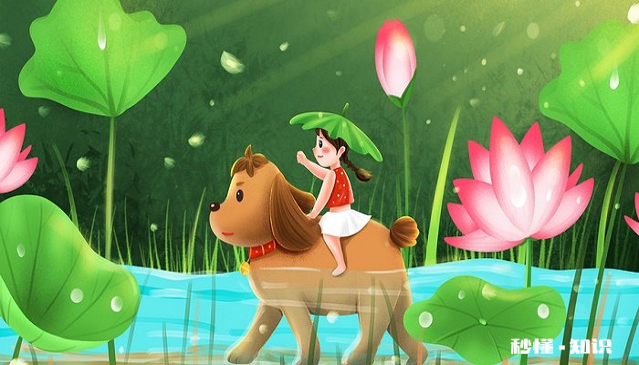 阿拉斯加犬好养吗 阿拉斯加犬吃什么