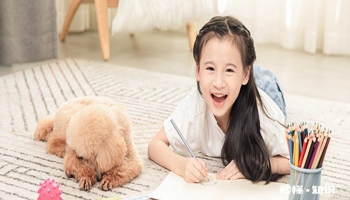 狗狗翻肠子是什么意思 狗狗翻肠子症状