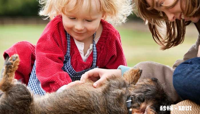 狗狗为什么喜欢舔人 狗狗舔人会传染细菌吗