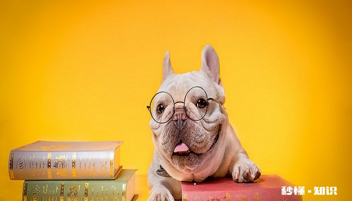 哪里可以买到哈士奇 哈士奇的发展历程