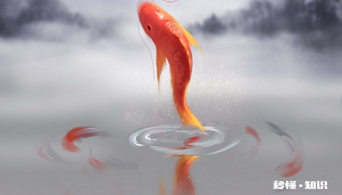 金鱼的眼睛为什么会掉 金鱼的生活习性