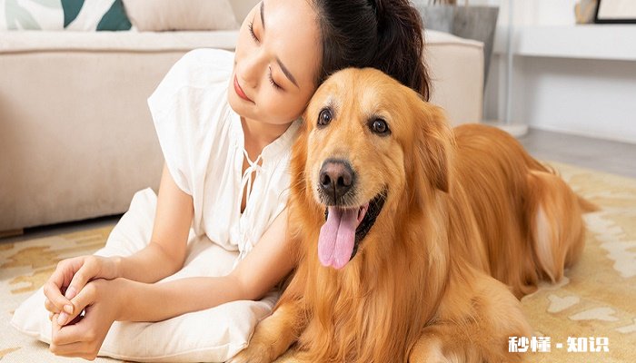 小狗直立行走好吗 小狗直立行走危害