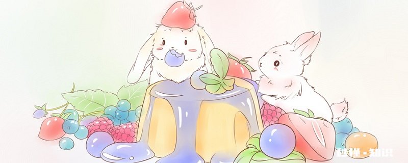 垂耳兔怎么养 垂耳兔生活习性