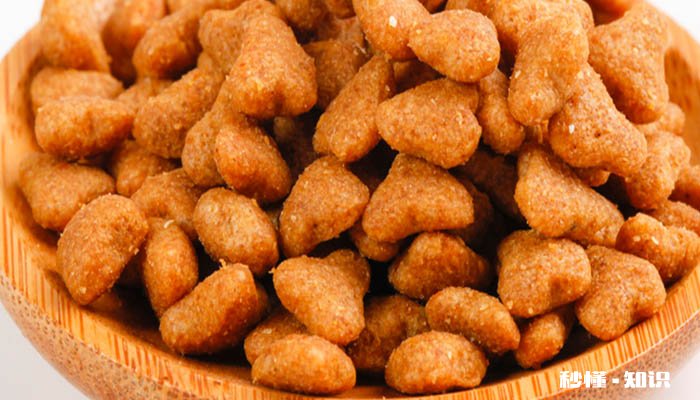 狗粮怎么给狗狗吃 狗粮需要泡水后再喂狗吗